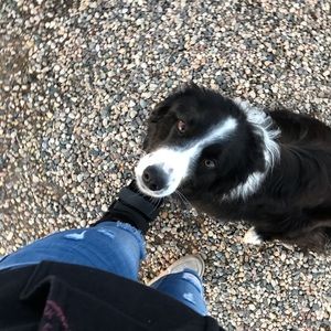 Meet your Posher, Shawna